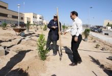 گزارش تصویری مراسم روز درخت کاری و تقدیر از نیروهای باغبانی دانشگاه